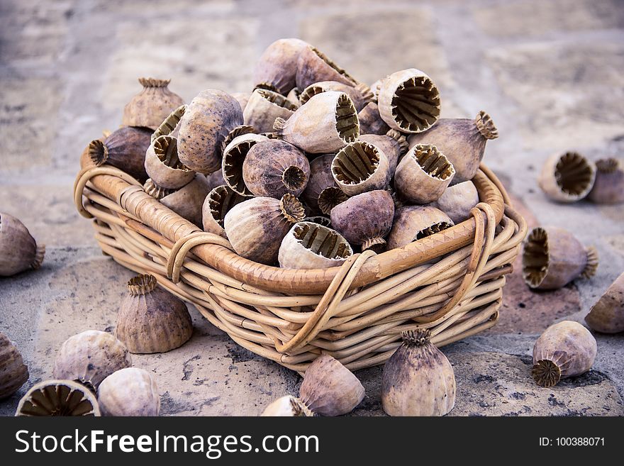 Tree Nuts, Walnut, Cockle, Nut