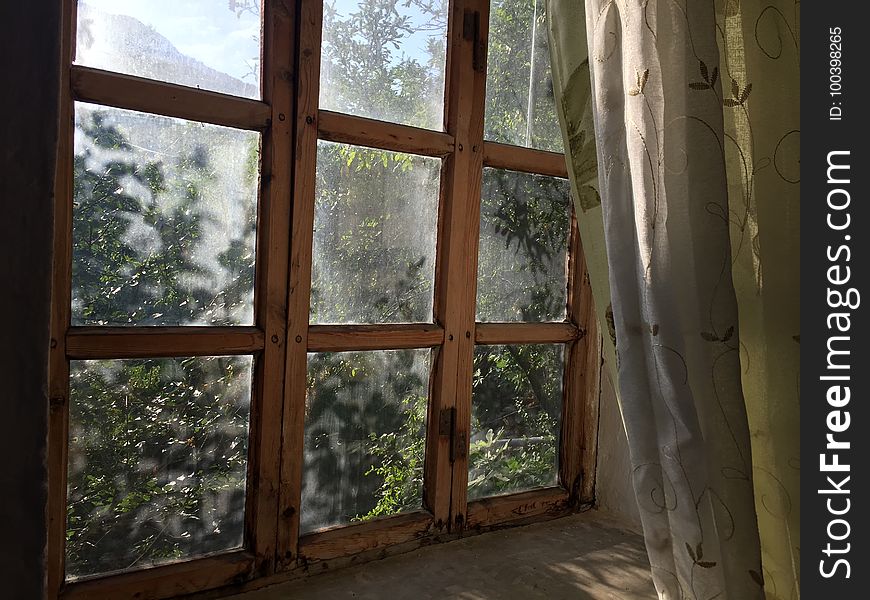 Window, Property, Tree, Home
