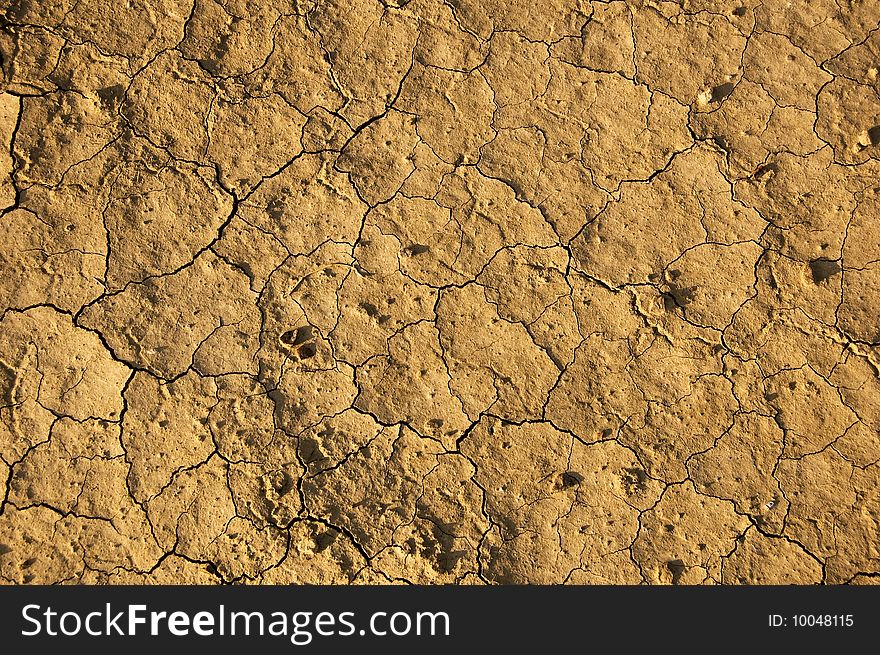 Dry earth in a desert