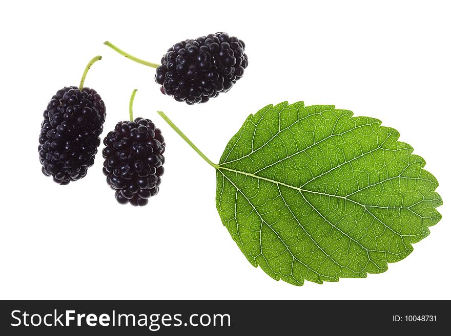 Mulberries and green leaf isolated on white. Mulberries and green leaf isolated on white