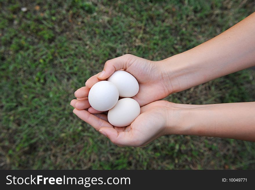 A girl holds three white eggs carefully. A girl holds three white eggs carefully