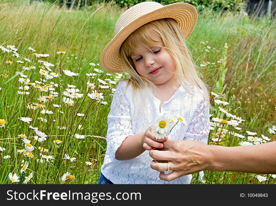 Little girl in a field giving a daisy bouquet. Little girl in a field giving a daisy bouquet.