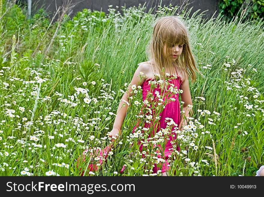 Little girl walking in a meadow. Little girl walking in a meadow.