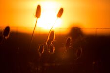 Beautiful Sunset In The Summer Royalty Free Stock Photo