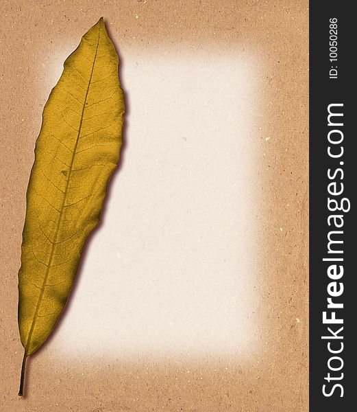 A grunge leaf on a cardboard texture background. A grunge leaf on a cardboard texture background.