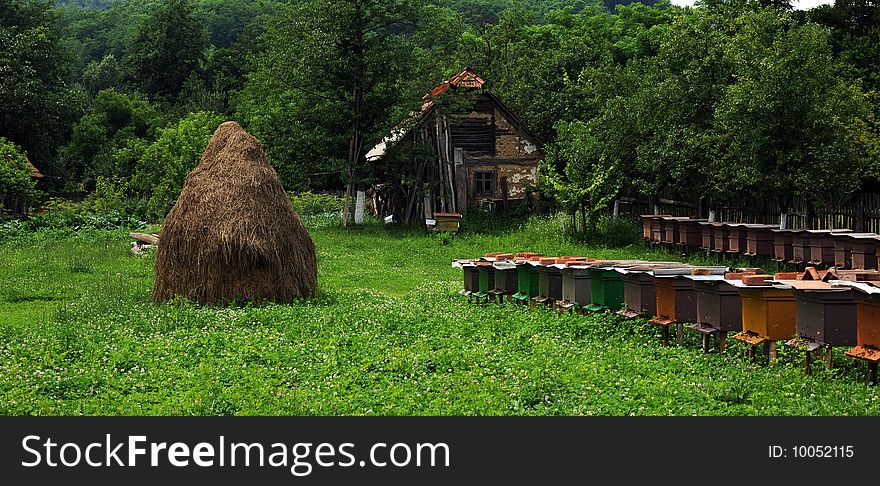 Old hut in country landscape