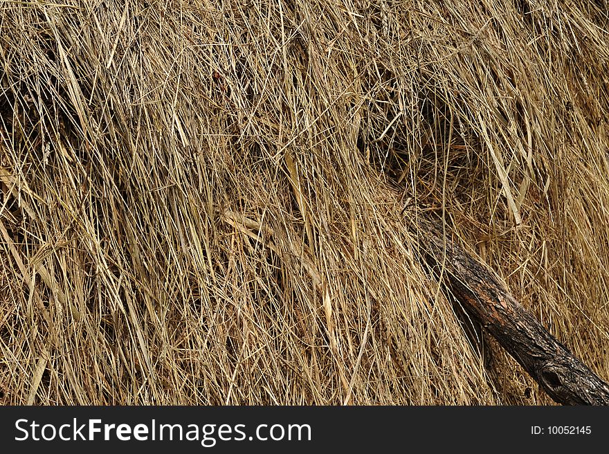 Hay piles in a country landscape