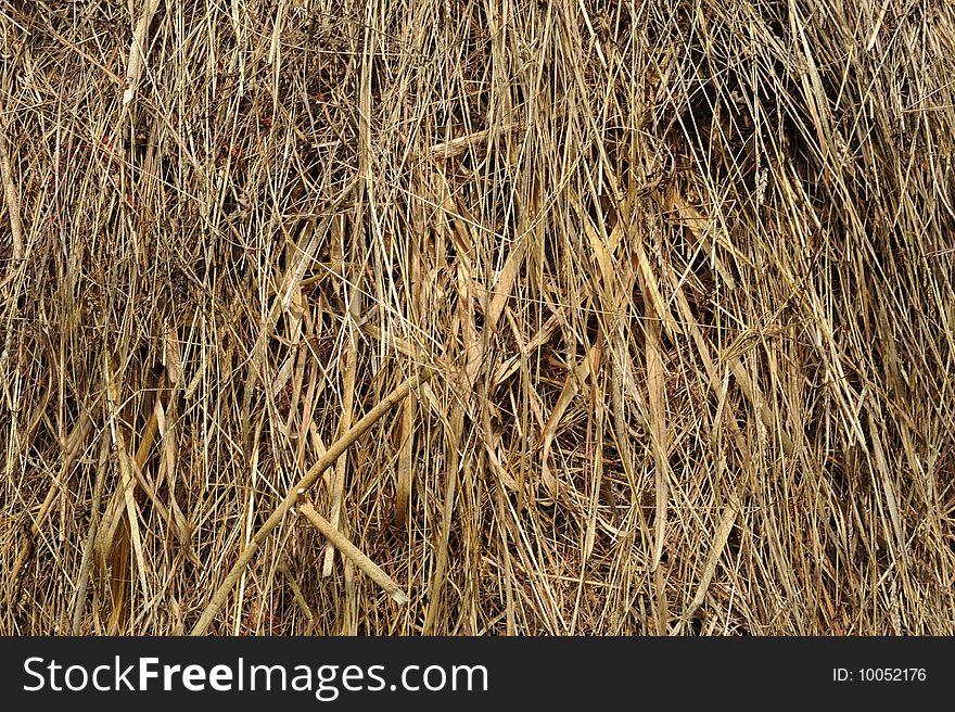 Hay piles in a country landscape