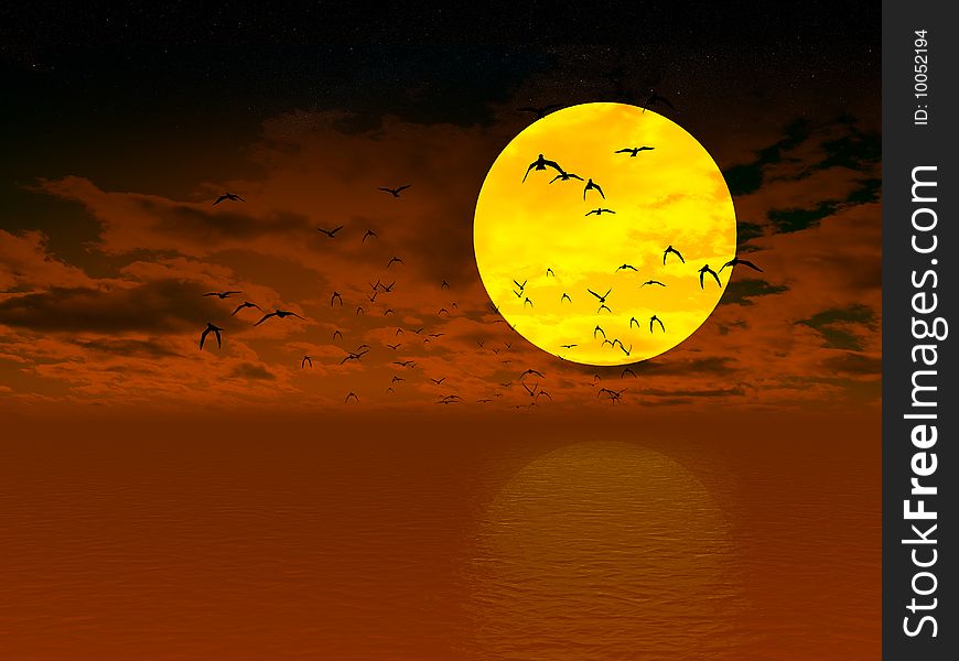 Birds over sea on sunset