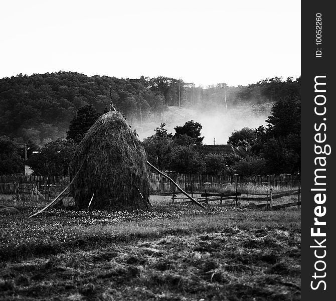 Hay piles in a country landscape