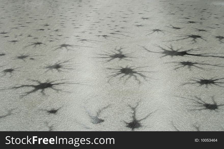 Unique abstract shapes forming on the surface of a swampy pond during a spring snowstorm. Unique abstract shapes forming on the surface of a swampy pond during a spring snowstorm