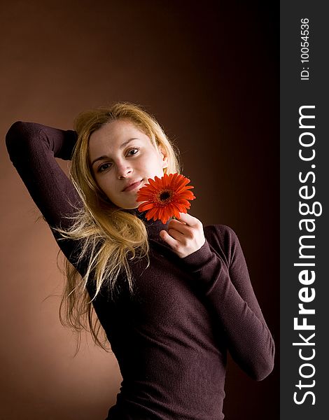 A beautiful blonde in brown jumper posing with a red flower on a dark background. A beautiful blonde in brown jumper posing with a red flower on a dark background