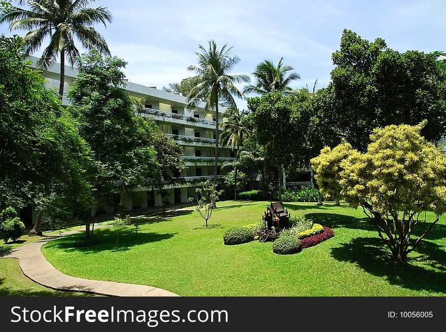 Tropical garden of luxury resort