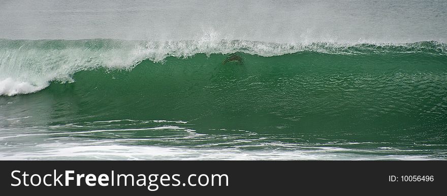 A surfer onto the wave. A surfer onto the wave