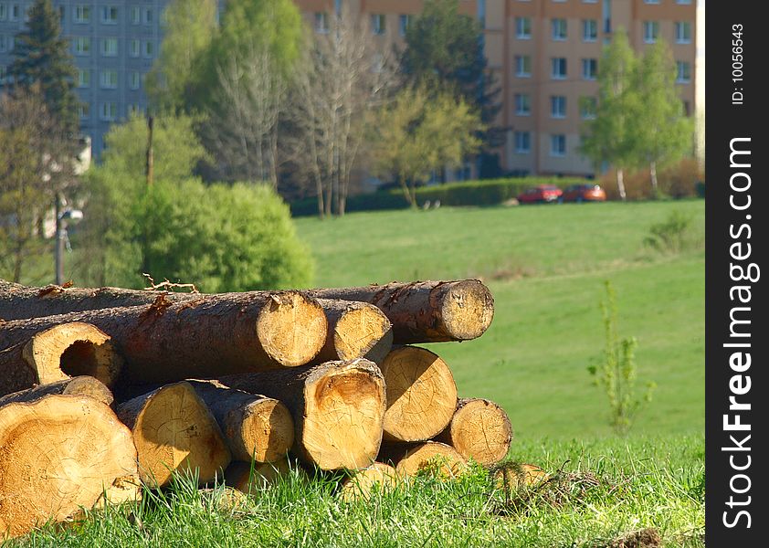 Wooden logs ready for sale and removal. Photos. Wooden logs ready for sale and removal. Photos.