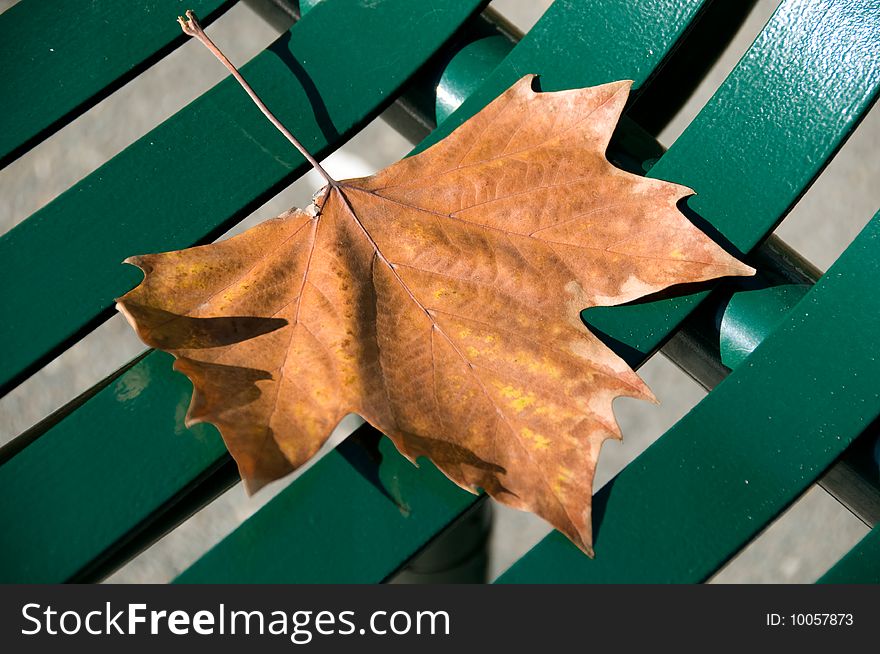 Closeup of a golden autumn leaf on a green bench