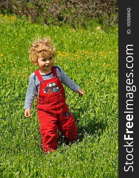 Cute smiling boy standing on a green grass