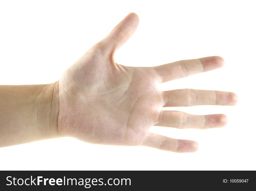 Women hand isolated on a white background