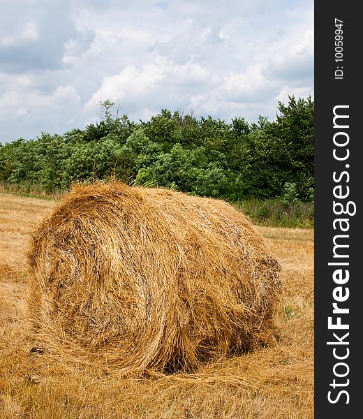 Single haycock on the field in cloudy weather. Single haycock on the field in cloudy weather.