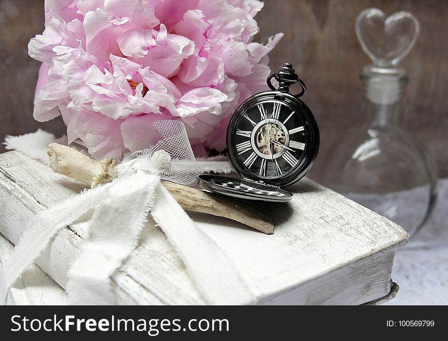 Pink, Flower, Still Life, Still Life Photography