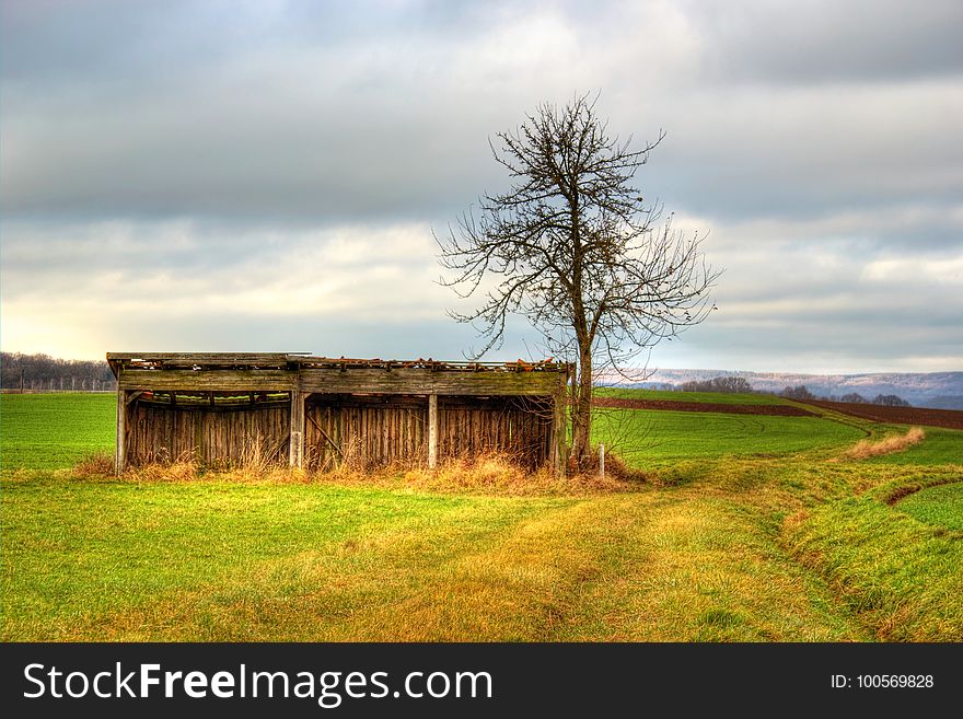 Grassland, Field, Sky, Pasture