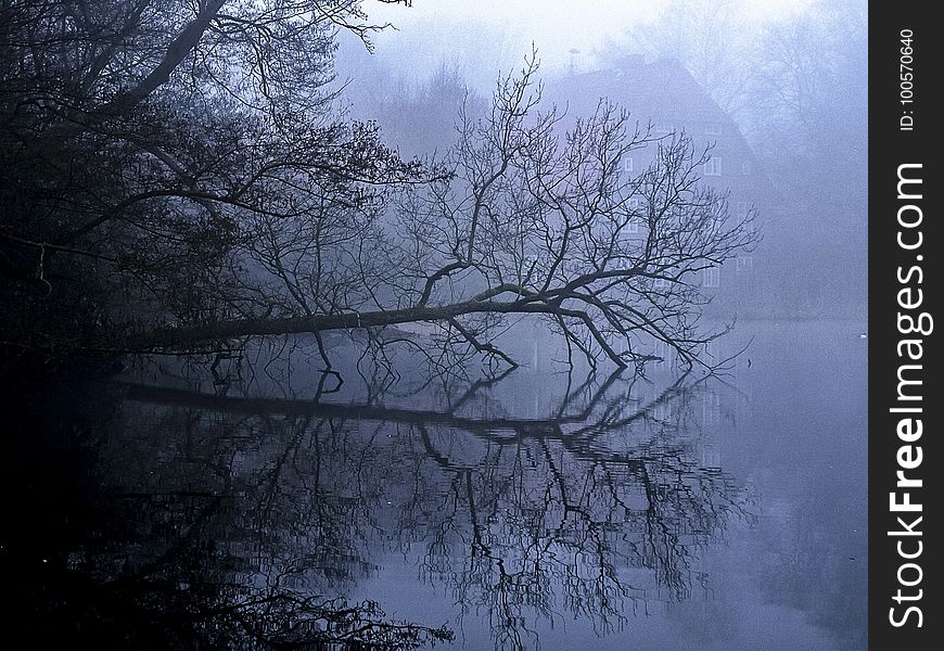 Water, Nature, Reflection, Fog