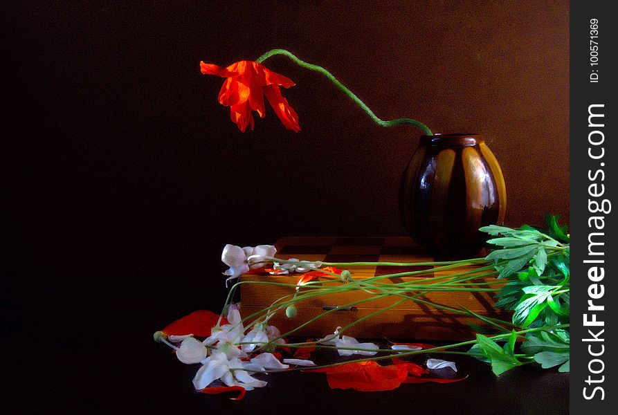 Still Life, Flower, Still Life Photography, Painting