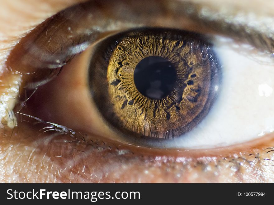 Eye, Macro Photography, Close Up, Eyelash