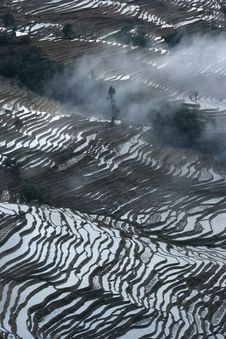 Rice Terraces Royalty Free Stock Images Rice Terraces Royalty Free Stock Images