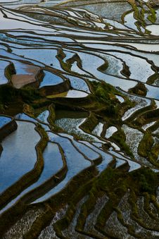 Rice Terraces Stock Images Rice Terraces Stock Images
