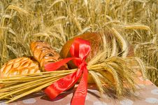 Wheat Sheaf. Royalty Free Stock Photos