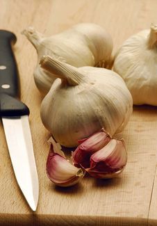 Fresh Garlic. Stock Images
