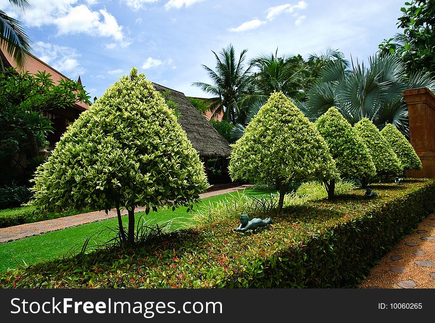 Tropical Garden