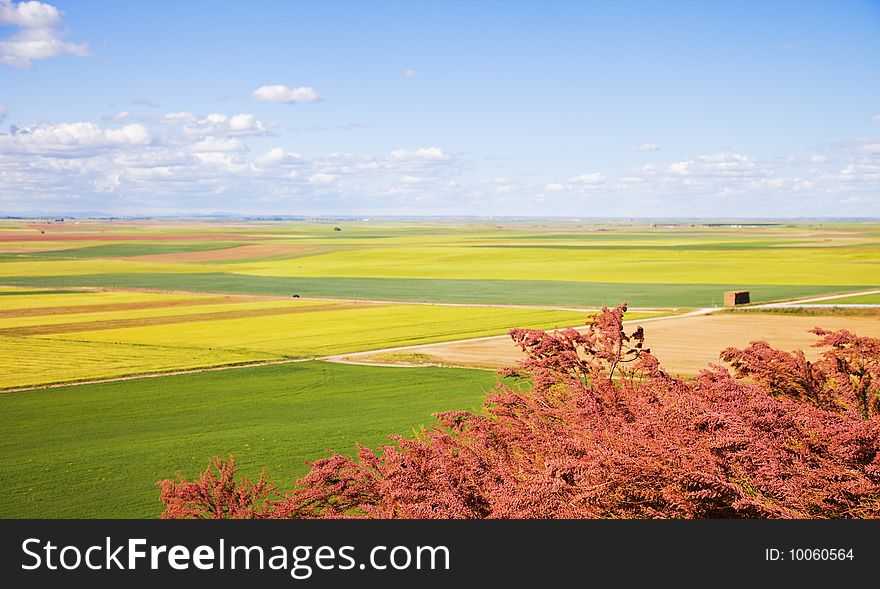 Panoramic view of Castilla fields, Spain. Panoramic view of Castilla fields, Spain