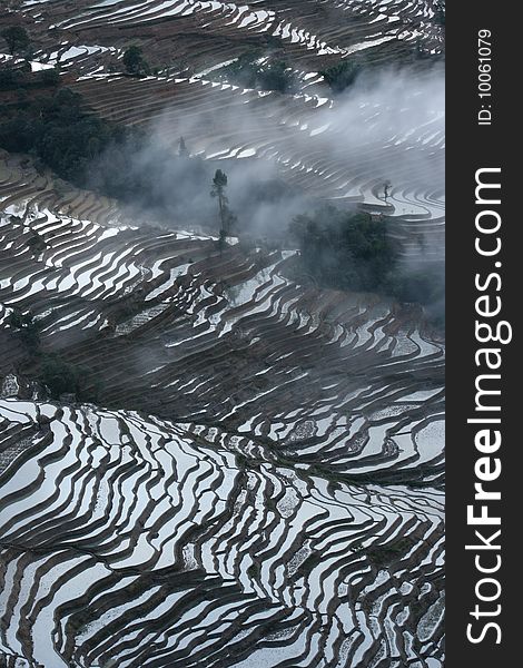 Sky reflected on rice terraces' water, Yuanyang, China