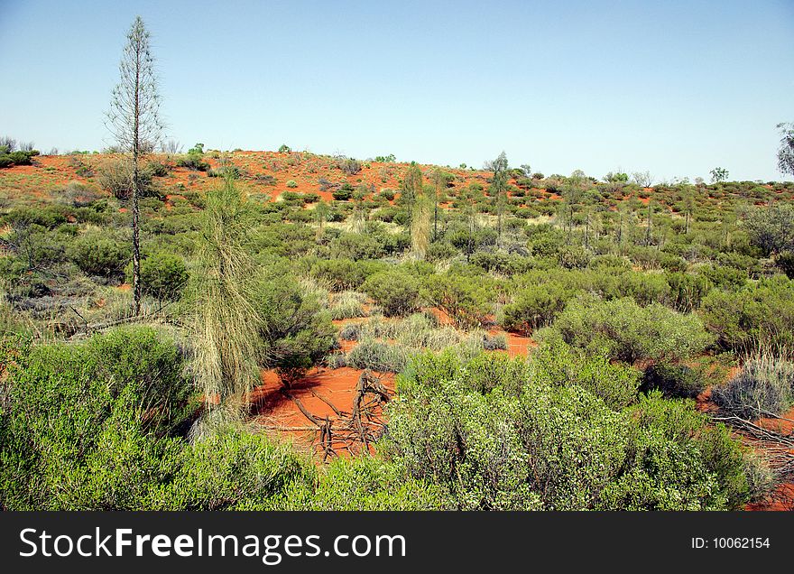 Detail of the Red Centre - Australian desert. Detail of the Red Centre - Australian desert.