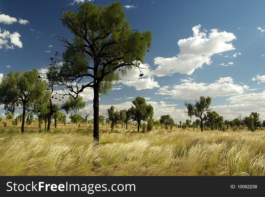 View of the Red Centre - Australian desert. View of the Red Centre - Australian desert.