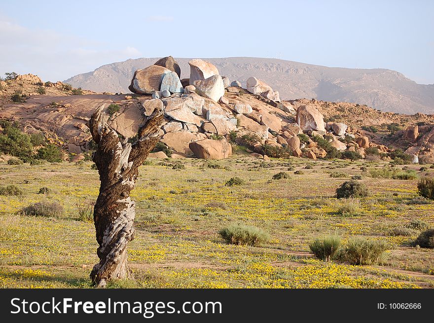 Desert of stones near Tafrou Region of Marocco. Desert of stones near Tafrou Region of Marocco