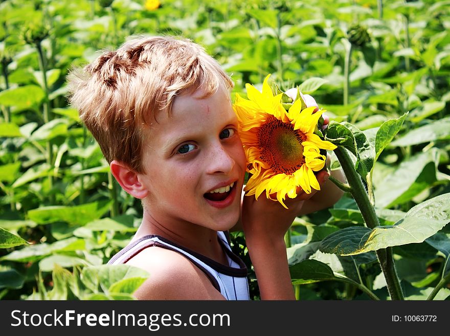 Young boy enjoys nature and pampers a sunflower. Young boy enjoys nature and pampers a sunflower