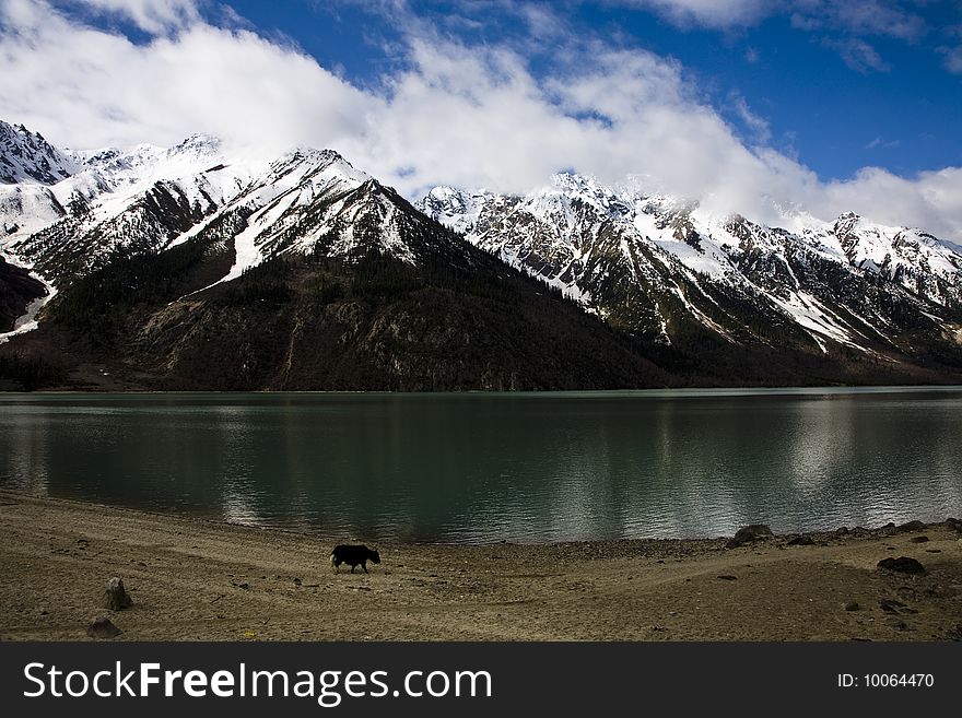 Beautiful landscape in tibet, china. Beautiful landscape in tibet, china