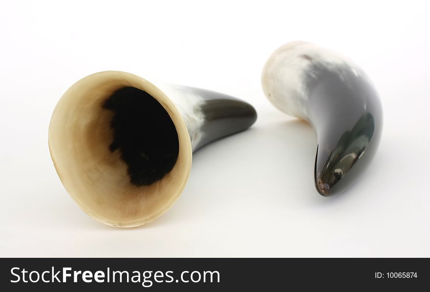 Polished Cow Horn