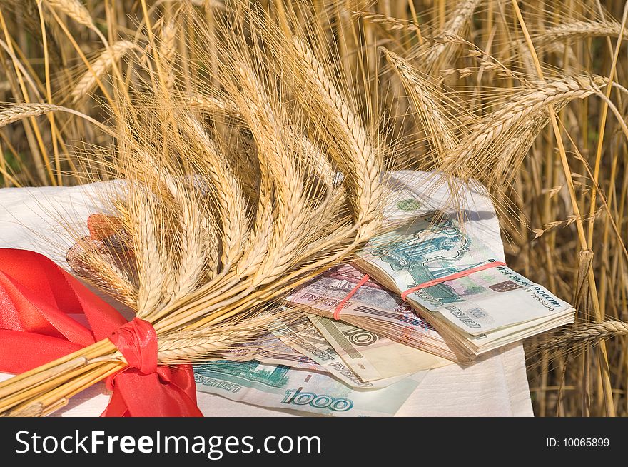 Crop Of Wheat And Money.