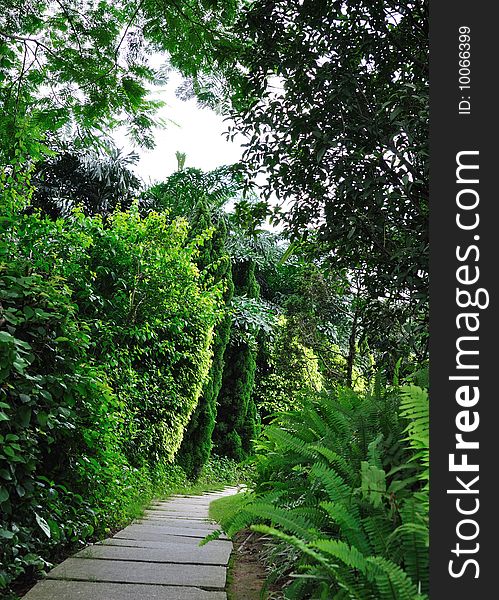 Path spread with stone plate in garden around green tree and grass, Guangzhou, Southen China. Path spread with stone plate in garden around green tree and grass, Guangzhou, Southen China.