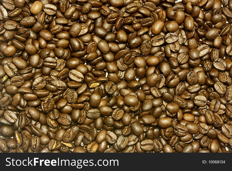 Photograph of a big coffee bean background