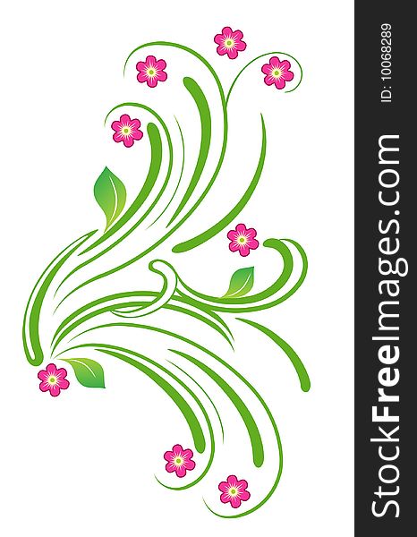 Vector illustration of floral elements. Vector illustration of floral elements.