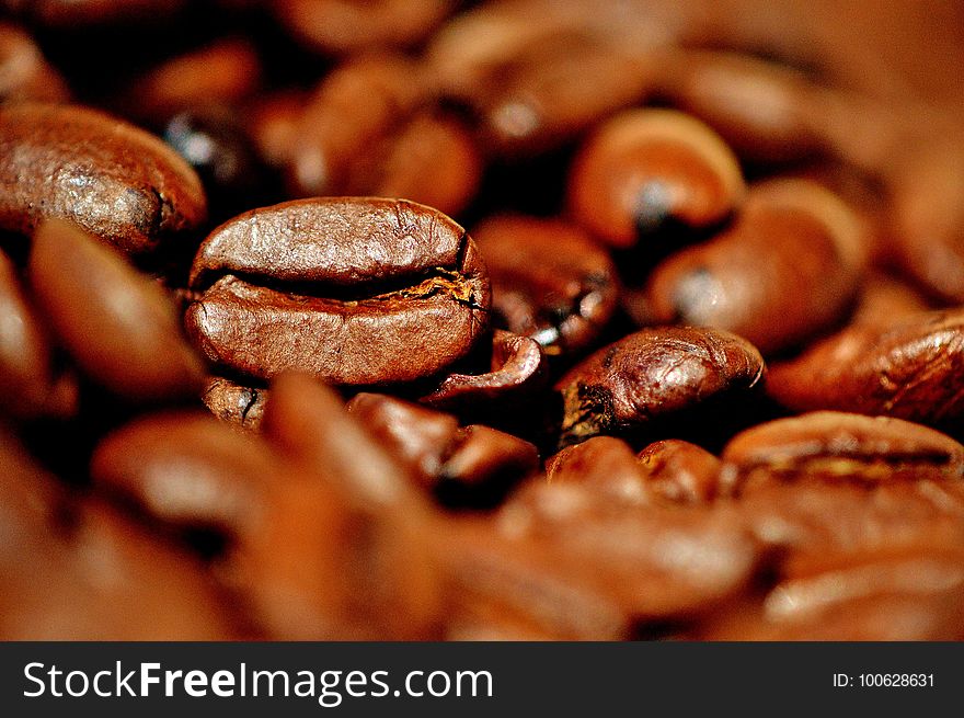 Caffeine, Cocoa Bean, Jamaican Blue Mountain Coffee, Coffee