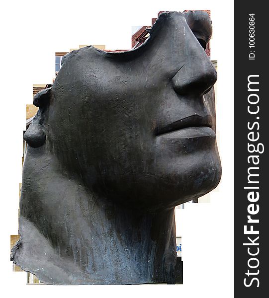 Head, Sculpture, Snout
