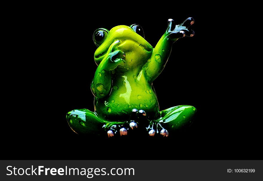 Green, Tree Frog, Vertebrate, Frog