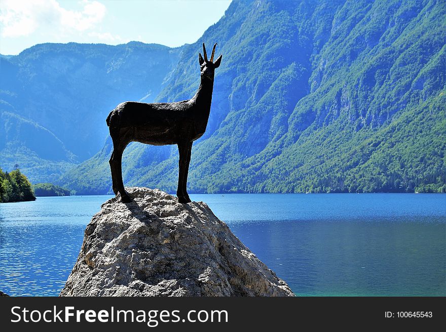 Sky, Tree, Mountain, National Park