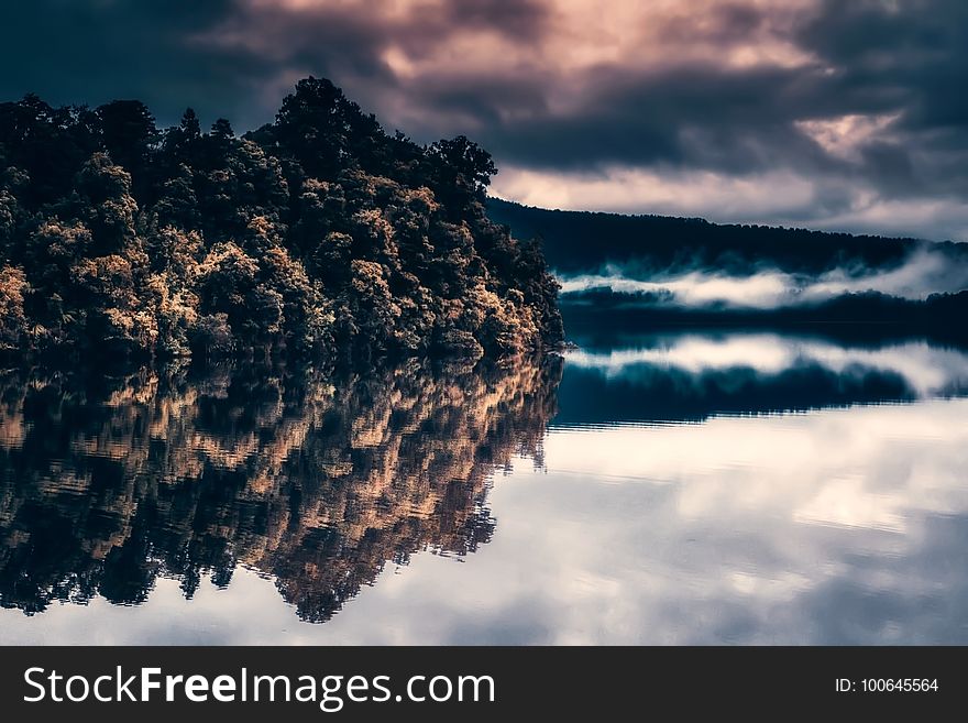 Sky, Cloud, Tree, Reflection
